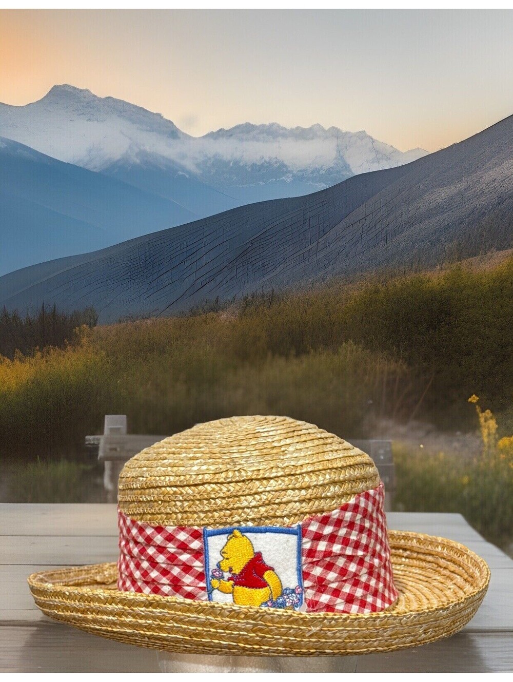 Winnie The Pooh Smelling the Flowers Woven Sun Hat OSFA Pot of Honey